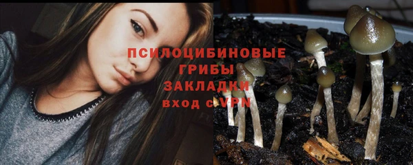 спайс Надым