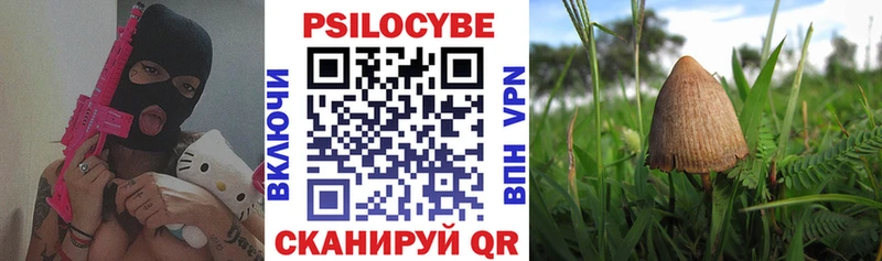 Галлюциногенные грибы прущие грибы  Николаевск-на-Амуре 