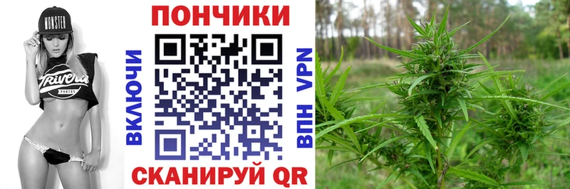 KRAKEN как зайти  где купить наркотик  Николаевск-на-Амуре  Шишки марихуана тримм 